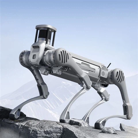 Industrial Robot CD B2