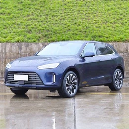 Range Extend New Energy Car